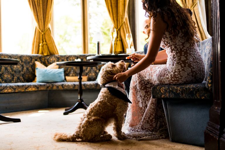 The bride is stroking her cockapoo dog at Lake Langdale Chase